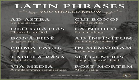 A Profile Of A Latin Beauty